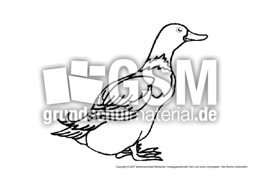 Ente-1.pdf